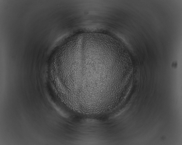 X0000091560590200708311416