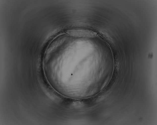 X0000091560591200708311416