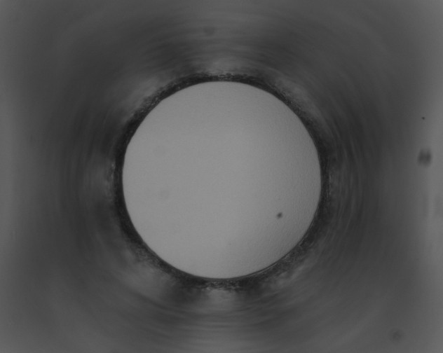 X0000091560592200708311416