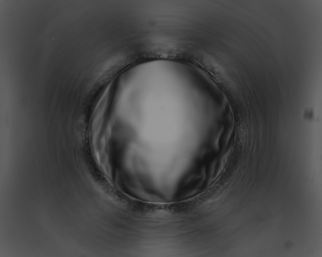 X0000091560594200708311416