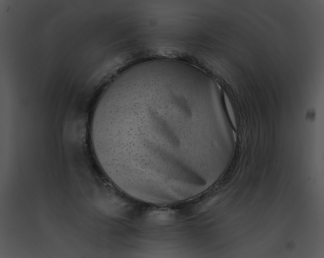 X0000091560595200708311416