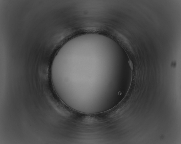 X0000091560596200708311416