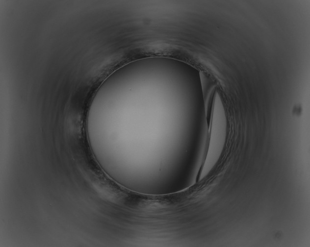 X0000091560597200708311416