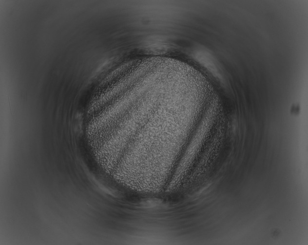 X0000091560598200708311416