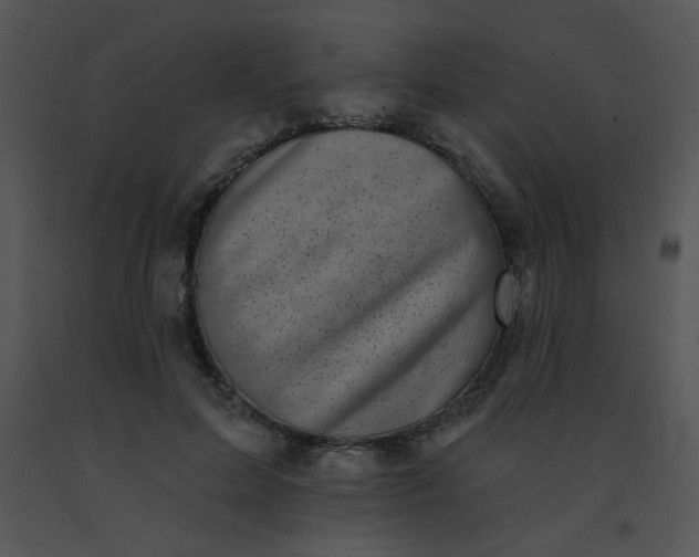 X0000091560599200708311416