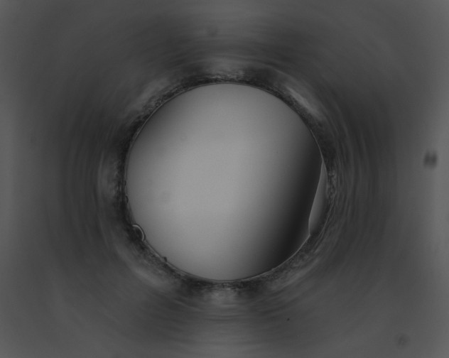 X0000091560600200708311416