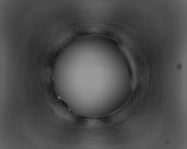 X0000091560605200708311416