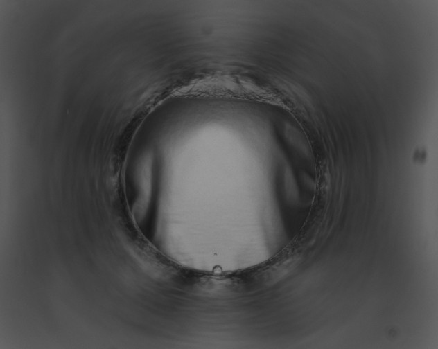 X0000091560607200708311416