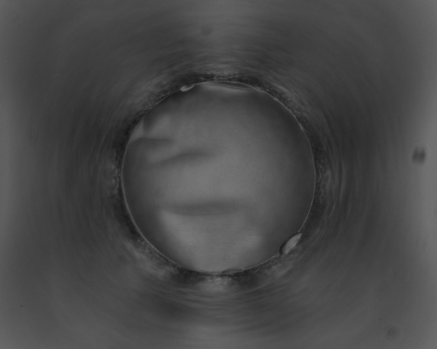 X0000091560609200708311416