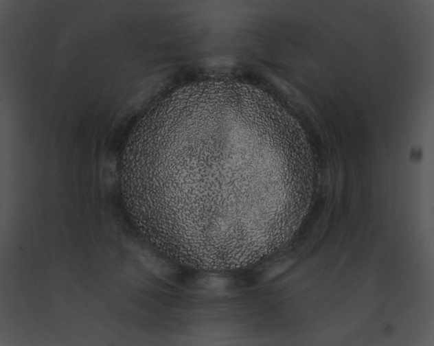 X0000091560610200708311416