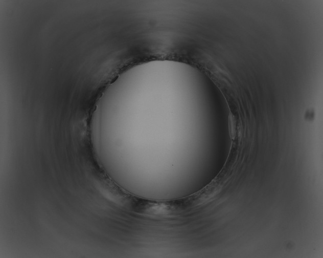 X0000091560611200708311416