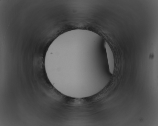 X0000091560612200708311416