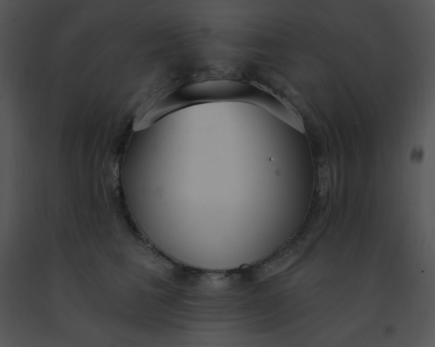 X0000091560613200708311416