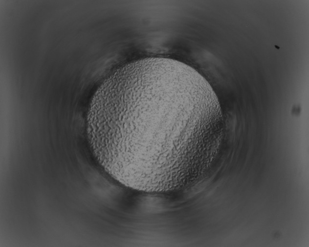 X0000091560614200708311416