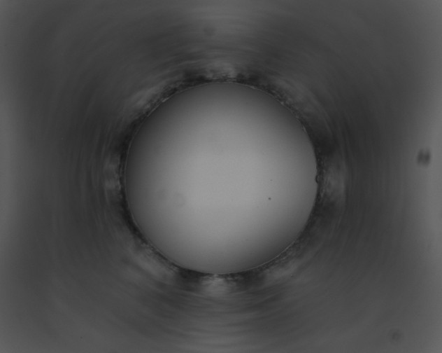 X0000091560616200708311416