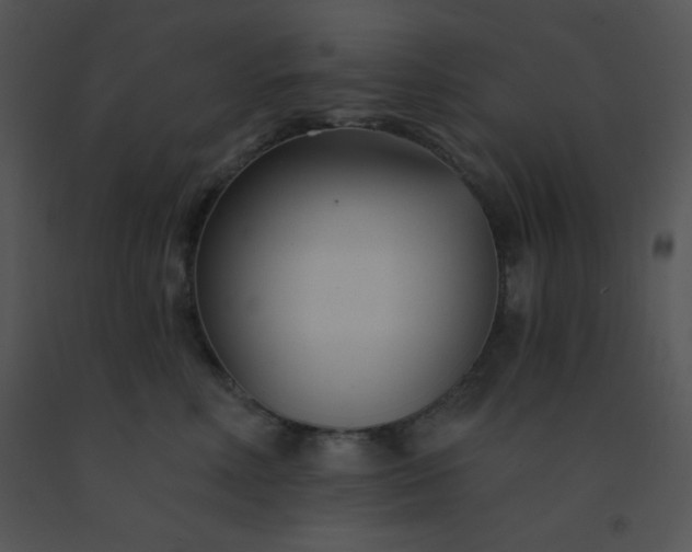 X0000091560618200708311416