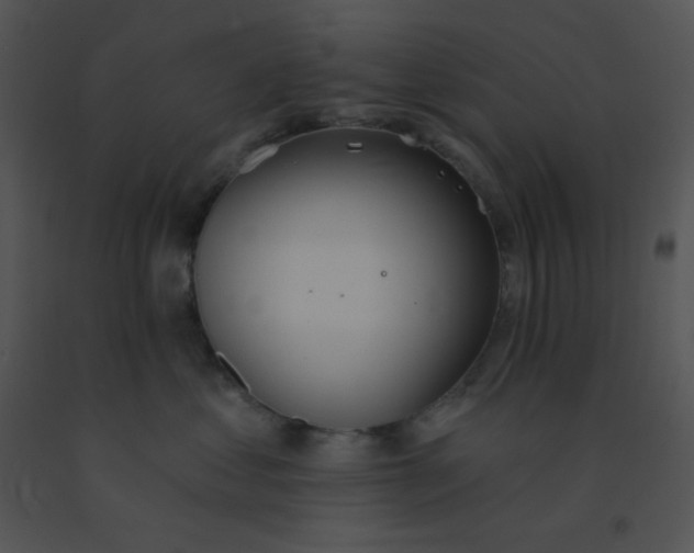 X0000091560621200708311416