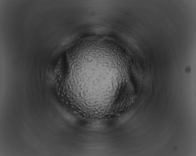 X0000091560622200708311416