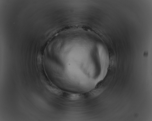 X0000091560623200708311416