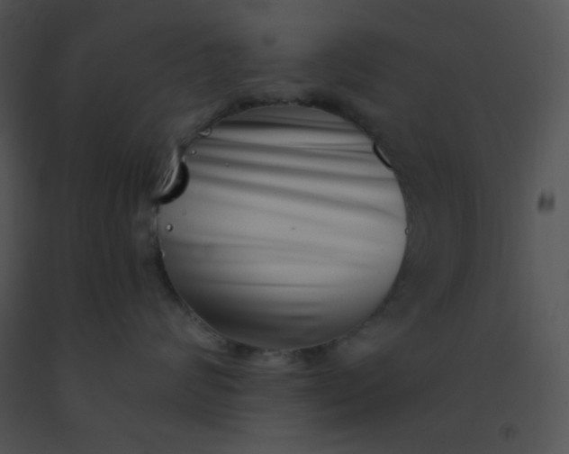 X0000091560624200708311416