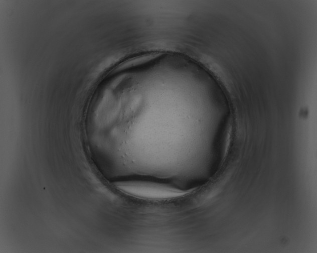 X0000091560625200708311415