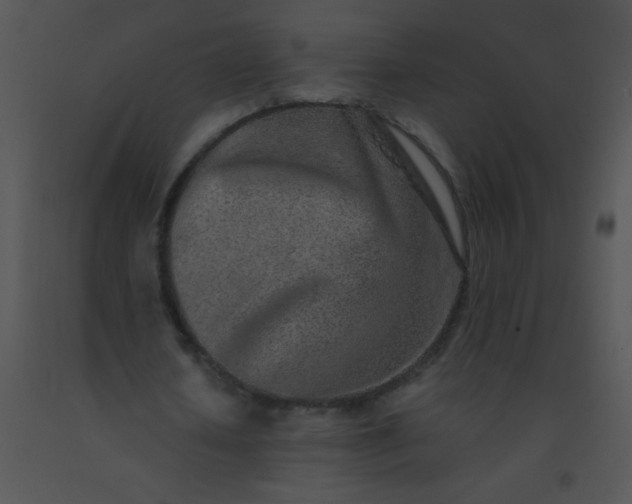 X0000091560626200708311415