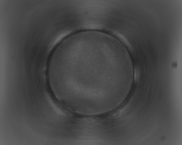 X0000091560627200708311415