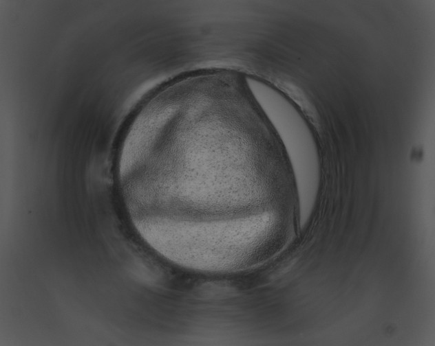 X0000091560628200708311415