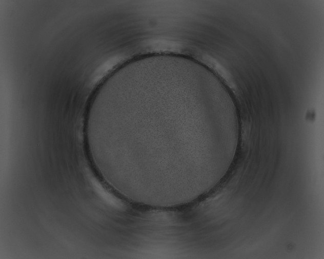 X0000091560629200708311415