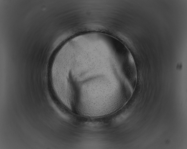 X0000091560630200708311415