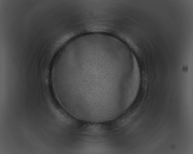 X0000091560631200708311416