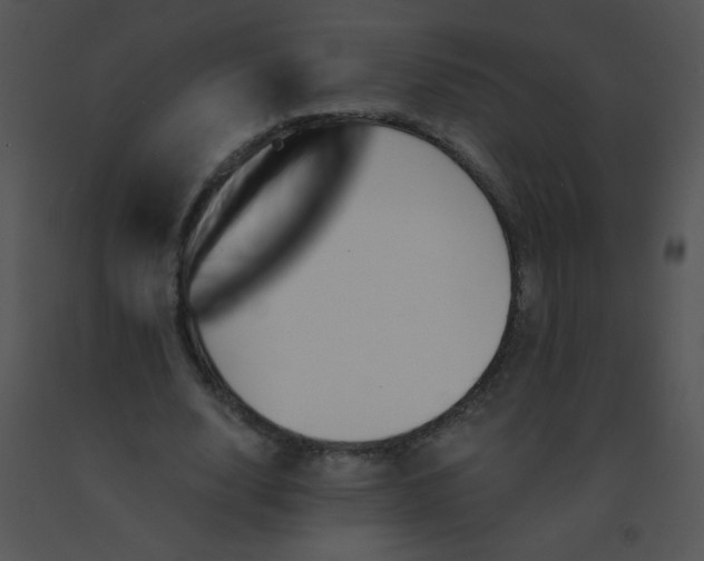 X0000091560632200708311416