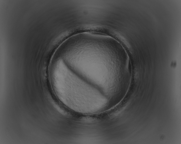 X0000091560633200708311416