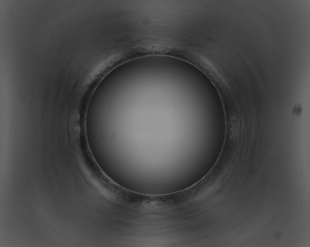 X0000091560634200708311416