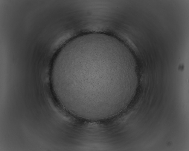 X0000091560635200708311416