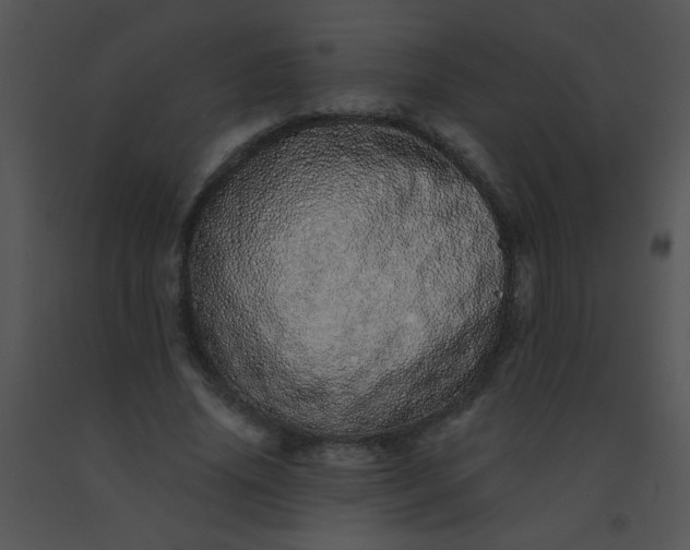 X0000091560636200708311416