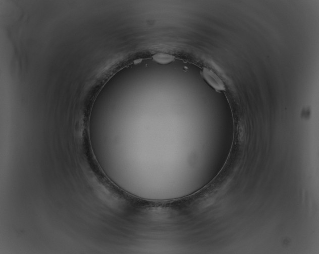 X0000091560637200708311416