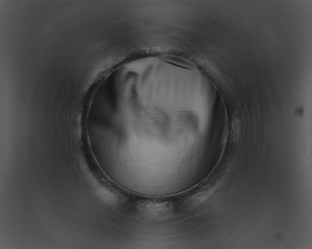 X0000091560638200708311416