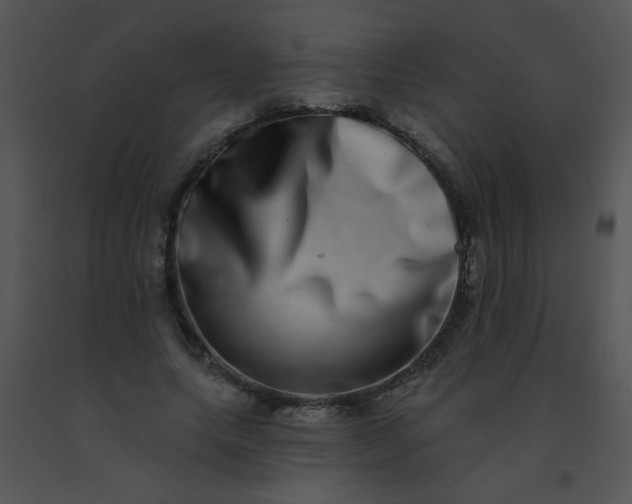 X0000091560639200708311416