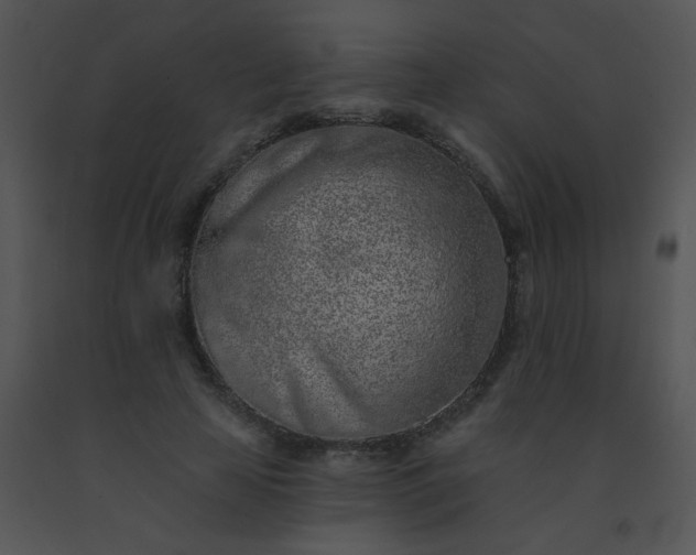 X0000091560641200708311416