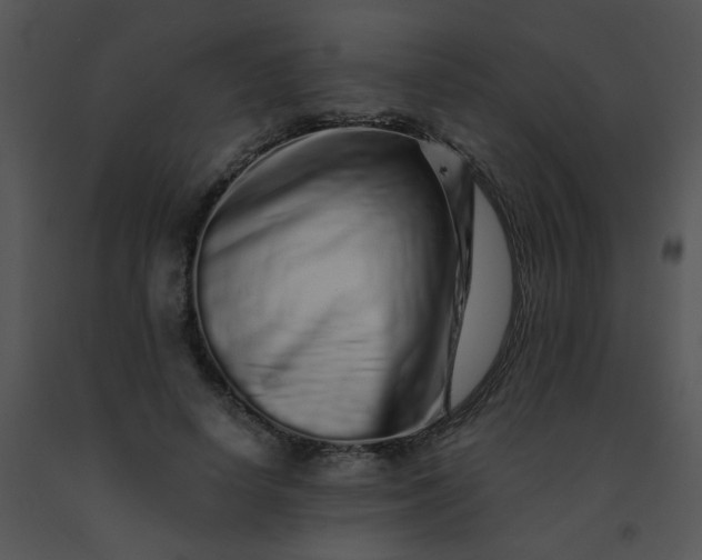 X0000091560642200708311416