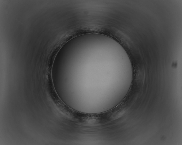 X0000091560643200708311416