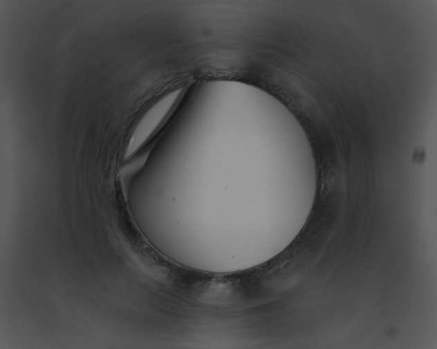 X0000091560647200708311416