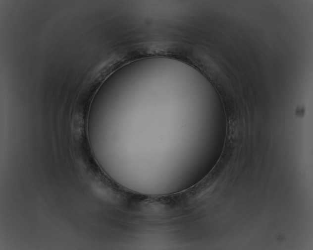 X0000091560648200708311416