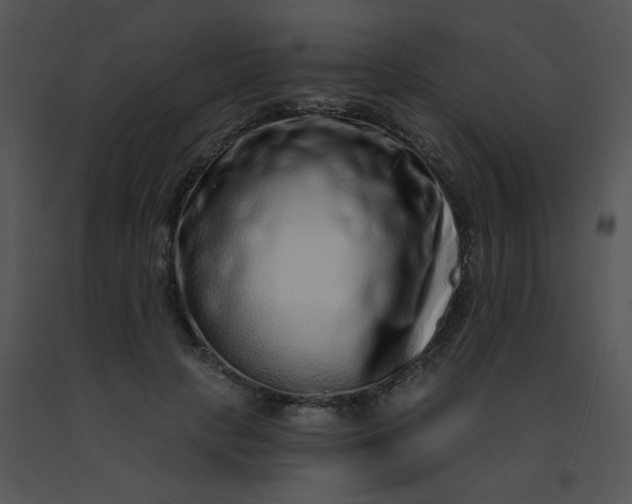 X0000091560649200708311416