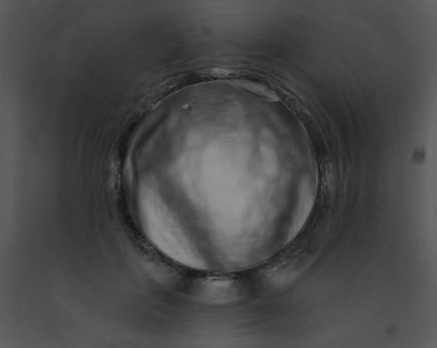 X0000091560651200708311416