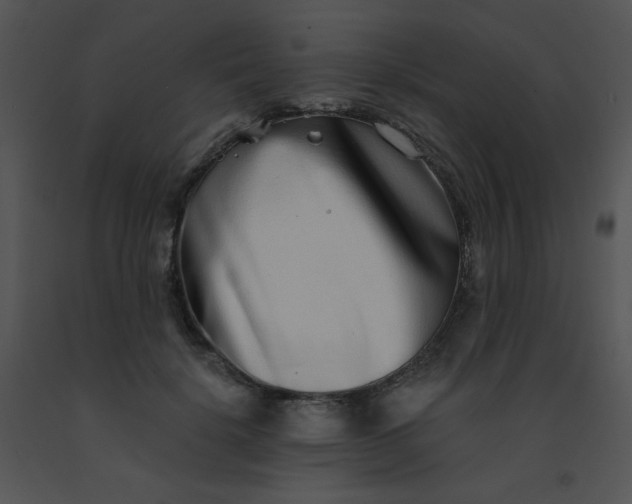 X0000091560652200708311416