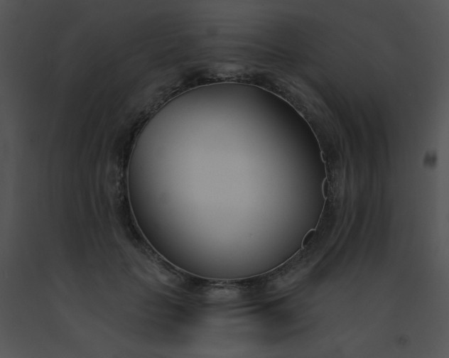 X0000091560653200708311416