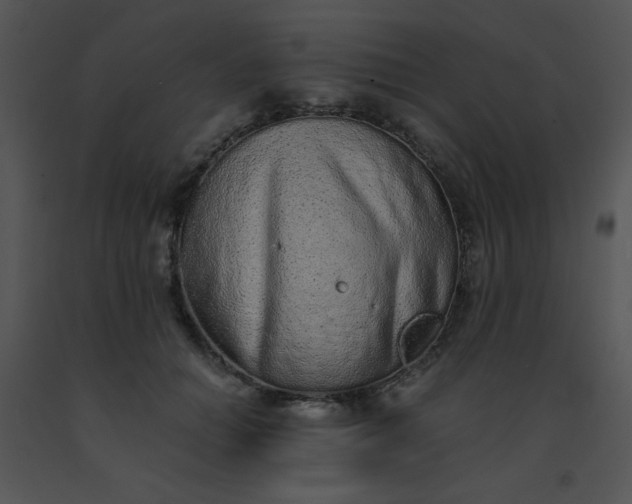 X0000091560654200708311416