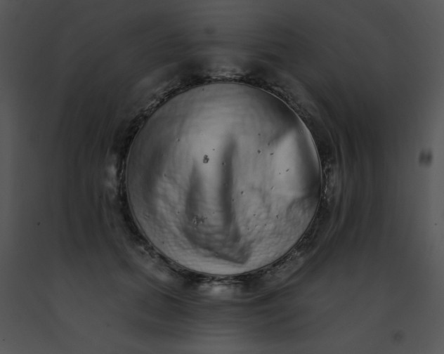 X0000091560655200708311416